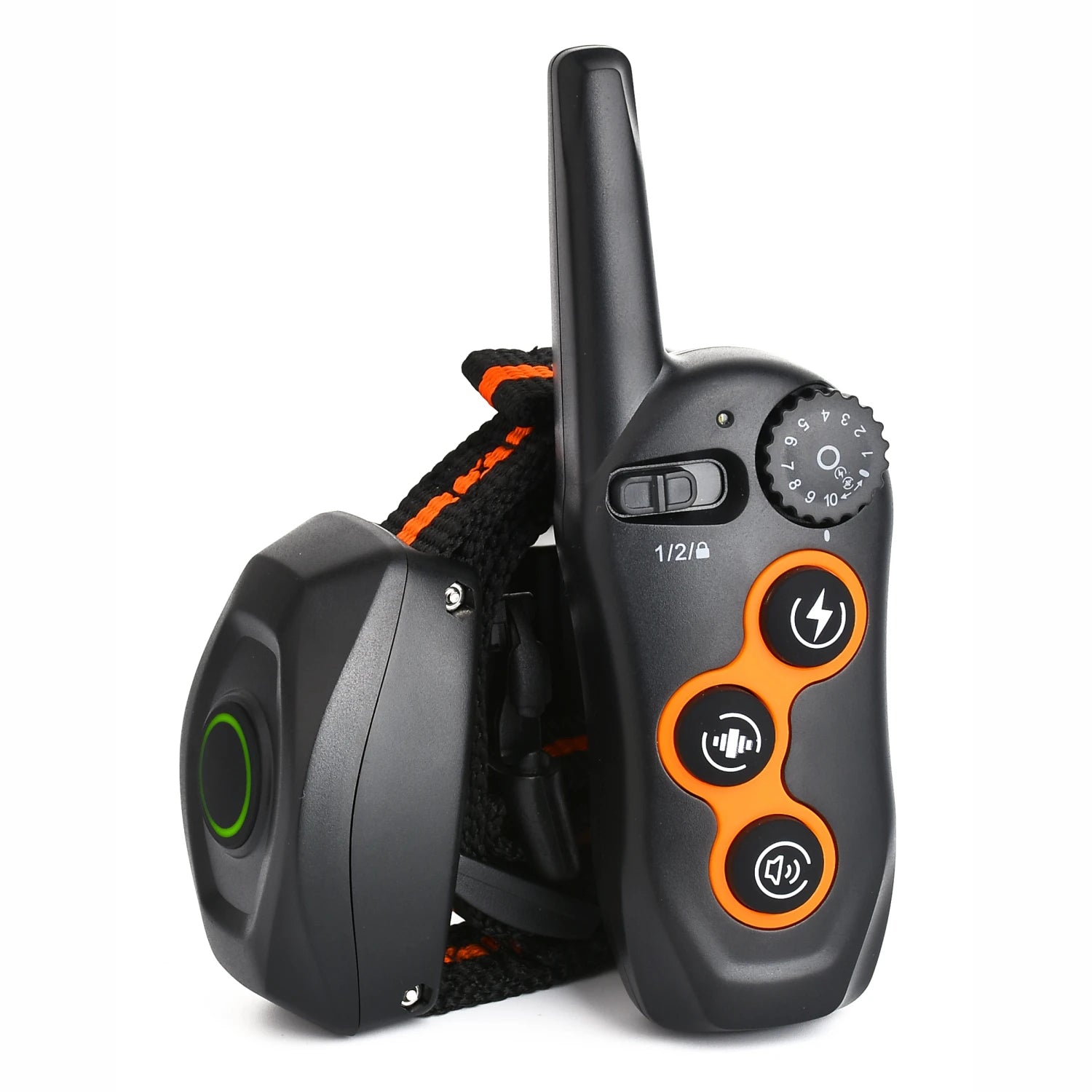 Remote Dog Trainer