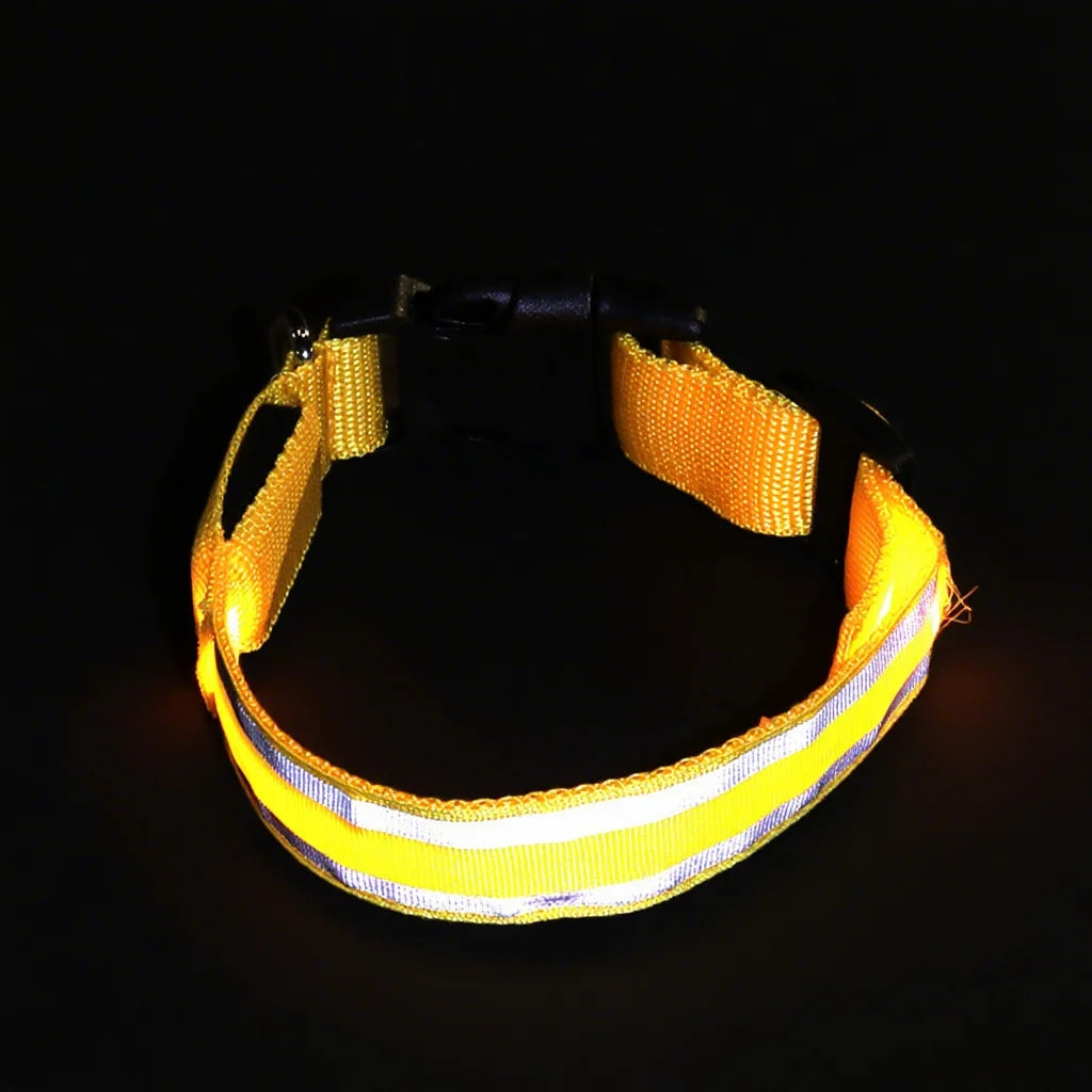 LED Safety Collar