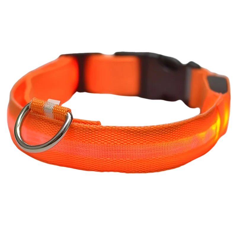 LED Safety Collar