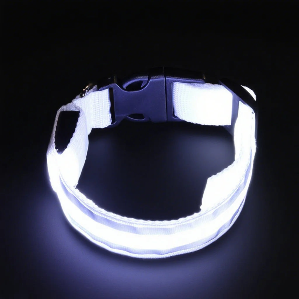 LED Safety Collar