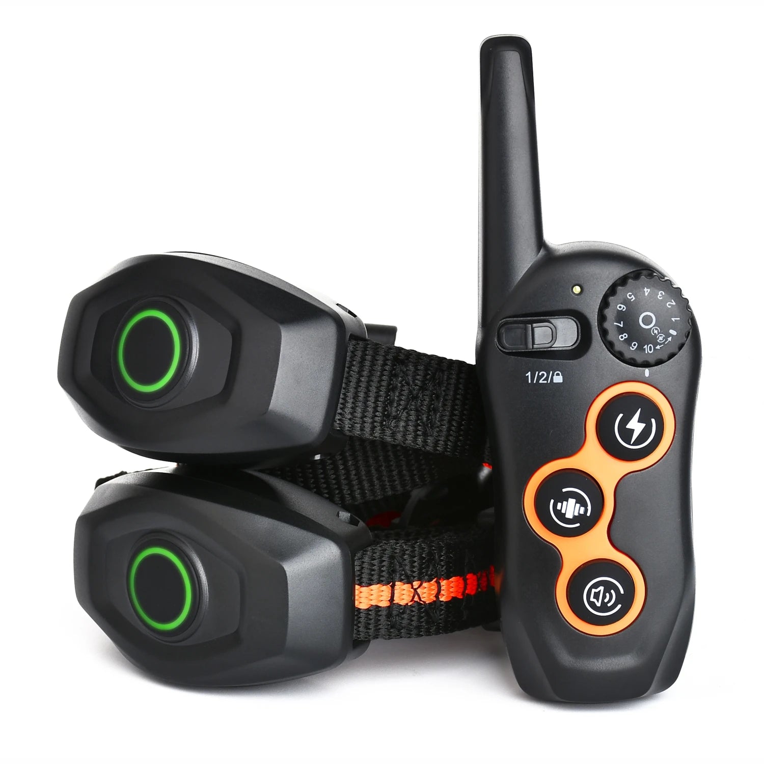 Remote Dog Trainer